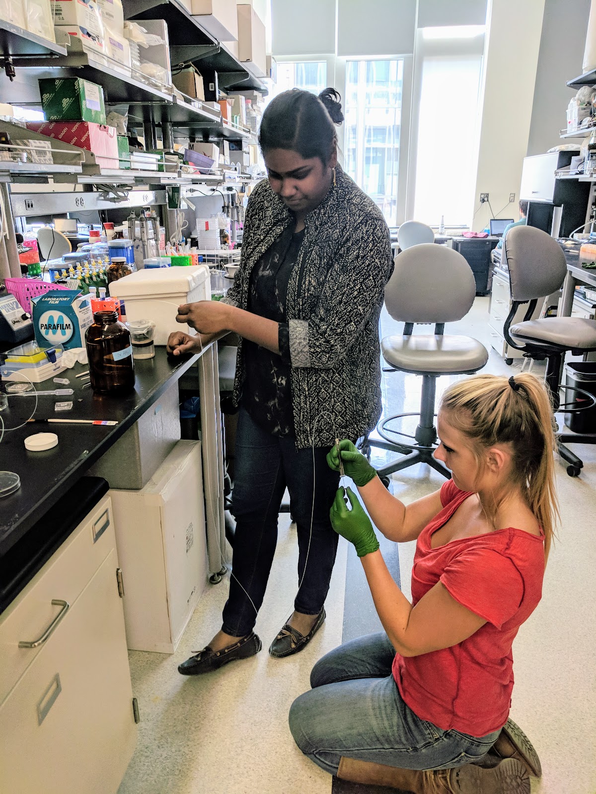 People munsonlabatVT