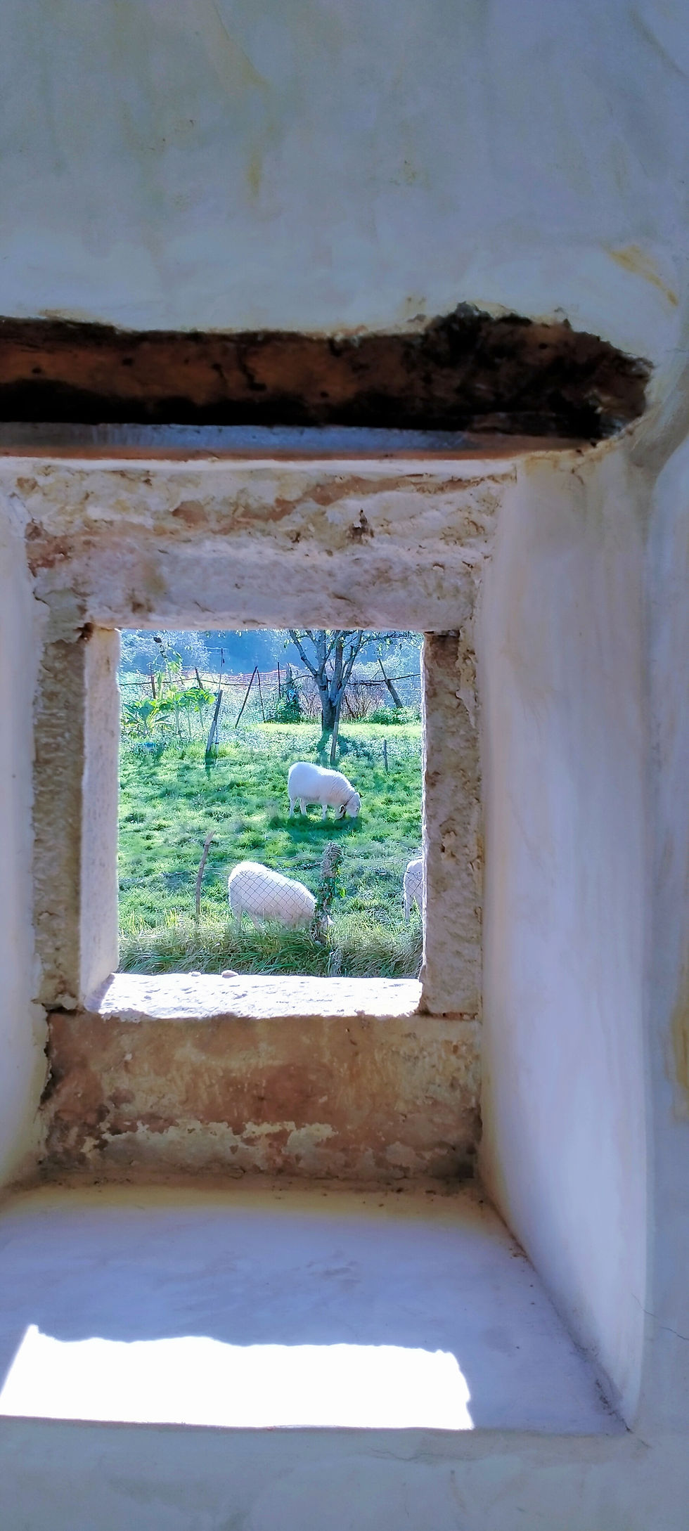 Detalle pequeño ventanal