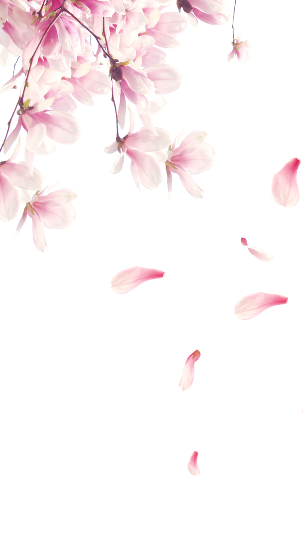 b8cb8fd7faec4f69719dc50b6ff9677f_(1)_mod