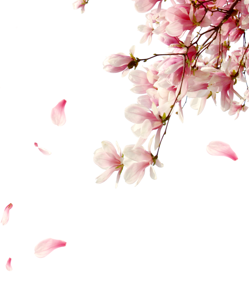 b8cb8fd7faec4f69719dc50b6ff9677f_(1)_mod
