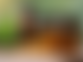 The Truth About “Hormone-Balancing” Supplements: What Works vs What’s Hype