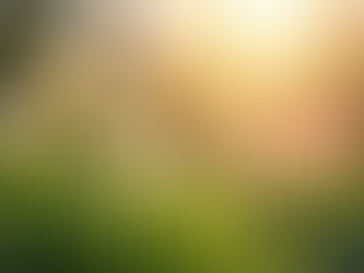 How to Transition From Winter to Spring Without Hormone Chaos