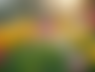 Why Spring Is the Best Time to Balance Hormones After 40