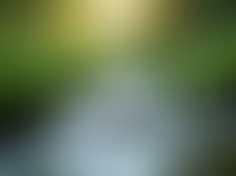 Mastering the Cortisol Reset for Rapid Stress Hormone Reduction