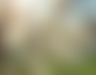 Why Seasonal Allergies Hit Women Harder After 40