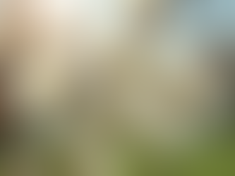 Why Seasonal Allergies Hit Women Harder After 40