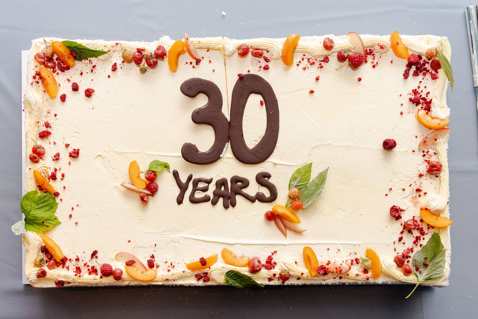 Finbar Group 30 year history