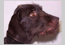 Greta_pic3.jpg