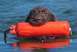 greta_pic1.jpg