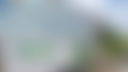 Sicredi é destaque no Top 5 de projeções econômicas do Banco Central