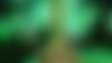 Sicredi é eleito pelo terceiro ano consecutivo líder em atendimento no Prêmio Reclame AQUI 2025