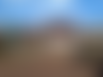 Vereadora Sandra Picoli solicita ações menos drásticas na retirada de árvores de canteiros centrais e passeios