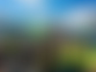 Master Run reúne atletas de três estados e marca estreia do Master Supermercados no calendário esportivo regional