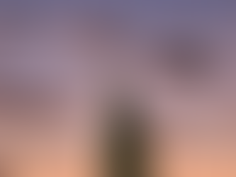 Primeira aparição da Virgem Maria em Fátima será celebrada com lançamento da Romaria Diocesana