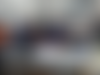 Reunião do CONDESA tira dúvidas sobre gripe aviária