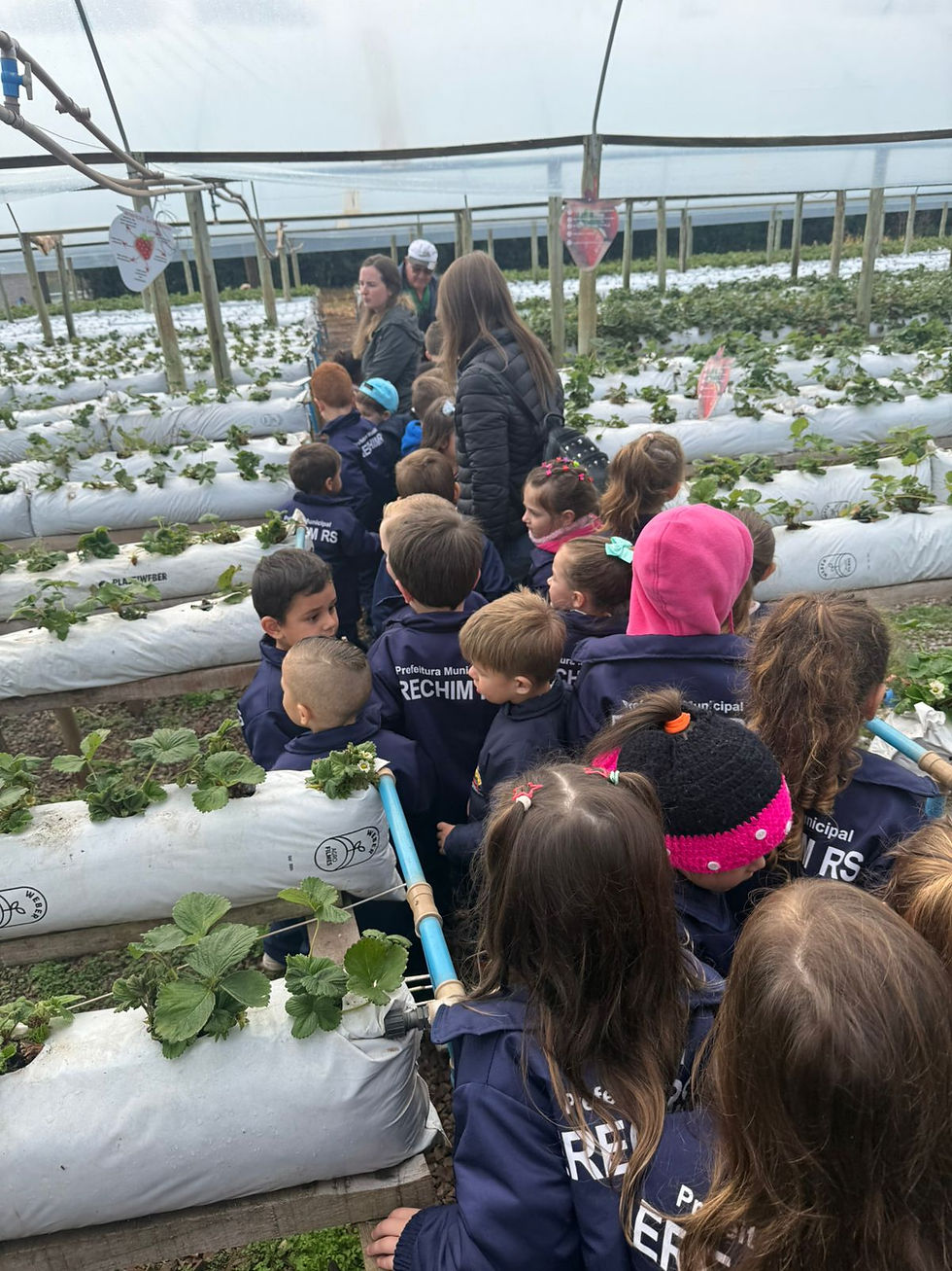 Semana do Brincar proporciona vivência de aprendizado e conexão com a natureza para crianças da Educação Infantil da Escola Maria Clara