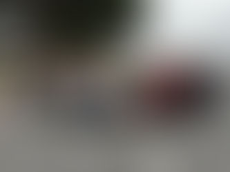 Profissionais de Erechim participam de Missão Empresarial à Beauty Fair 2025 em São Paulo