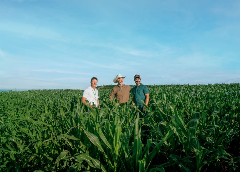 Sicredi é líder nas liberações de crédito rural no RS