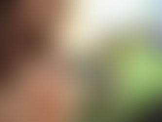 Sicredi conquista pela segunda vez consecutiva Selo de Prevenção a Fraudes