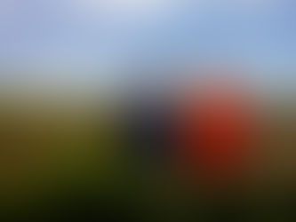 Cresol encerra Plano Safra 24/25 com R$ 13 bi e projeta novo recorde de crédito rural