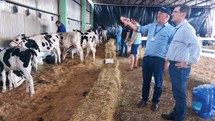 Evento fortalece bovinocultura de leite e destaca melhoramento genético em São Valentim