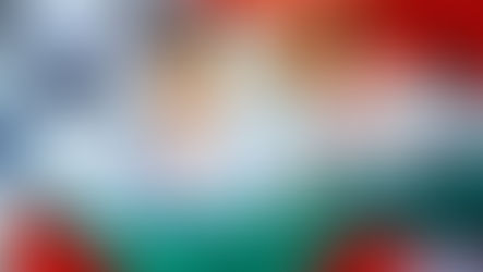 Atletas da região conquistam medalhas no Campeonato Brasileiro de Karatê no Pará