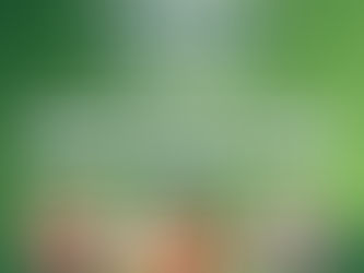 Entrada gratuita e solidária: Expo Erechim 2025 incentiva doação de alimentos para famílias em vulnerabilidade