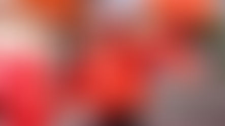 Mais de 700 pessoas participam da 1ª Corrida Laranja em Erechim (RS)