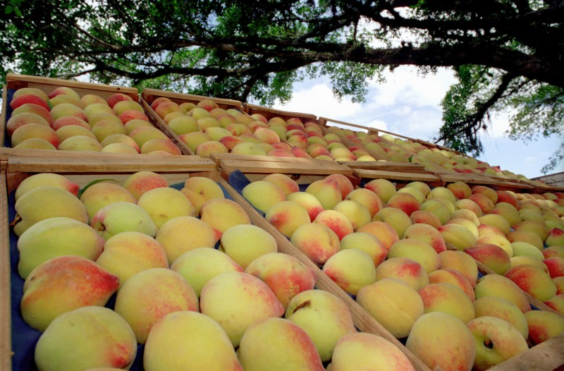 Arquivo Governo do Estado