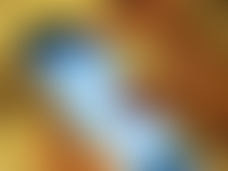 Eleitor tem até dia 6 de maio para pedir transferência de domicílio