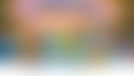 Amor que abana o rabo: Feira de Adoção convida comunidade a transformar a vida de cães resgatados em Erechim