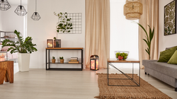 Home Organization