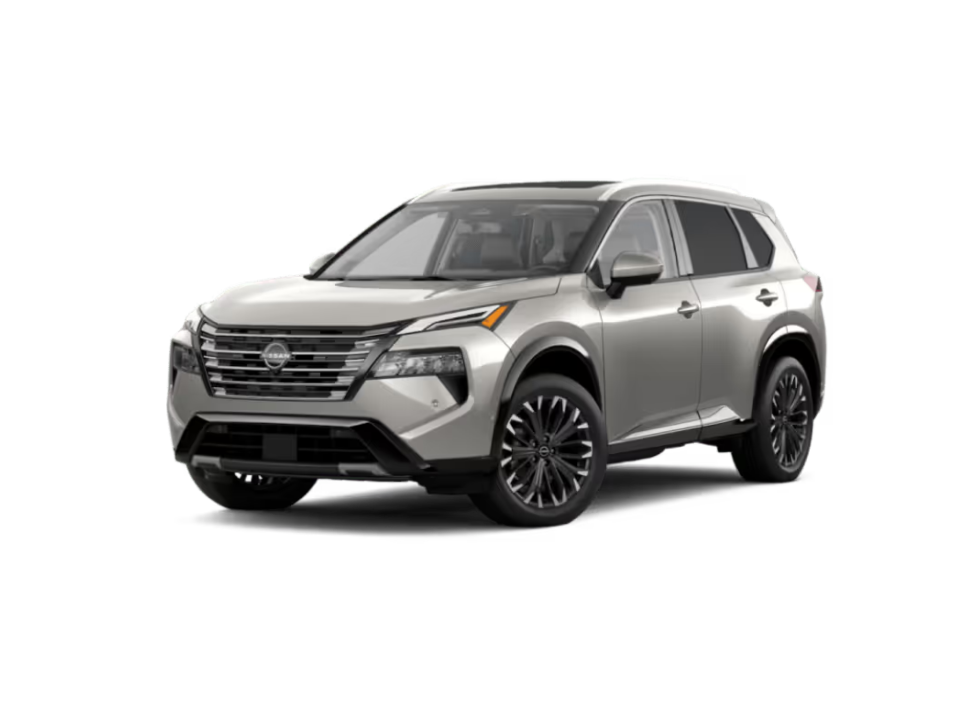 Untitled design (20).png