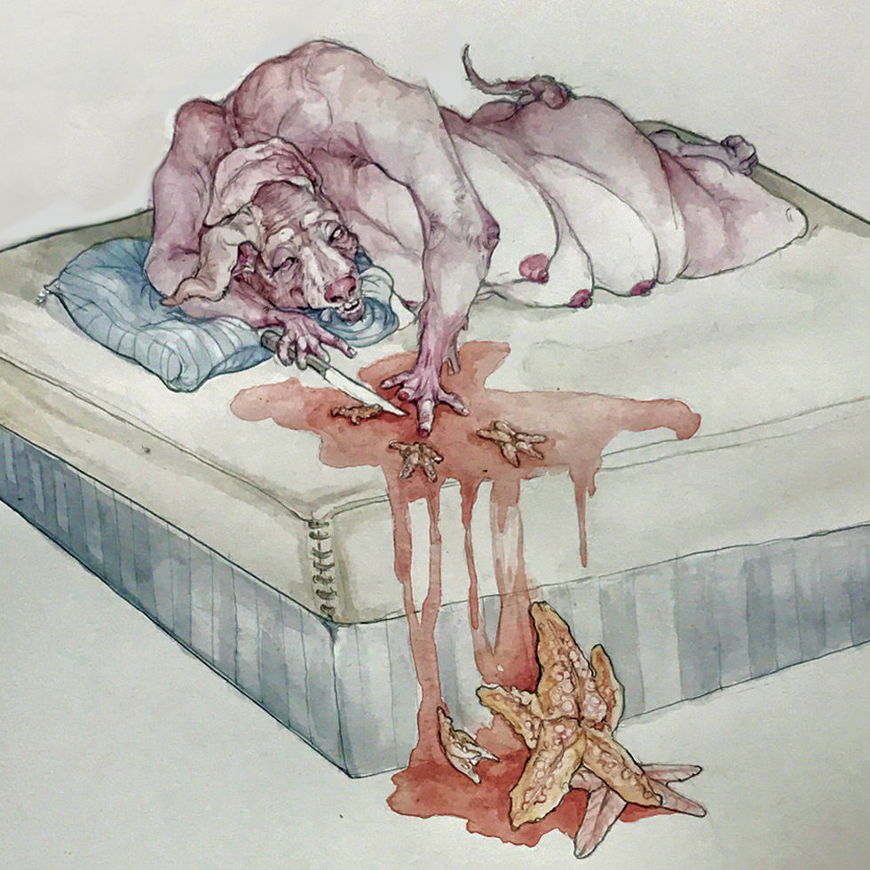 porca-flor2