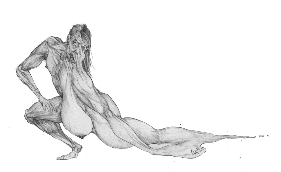 ilustra3
