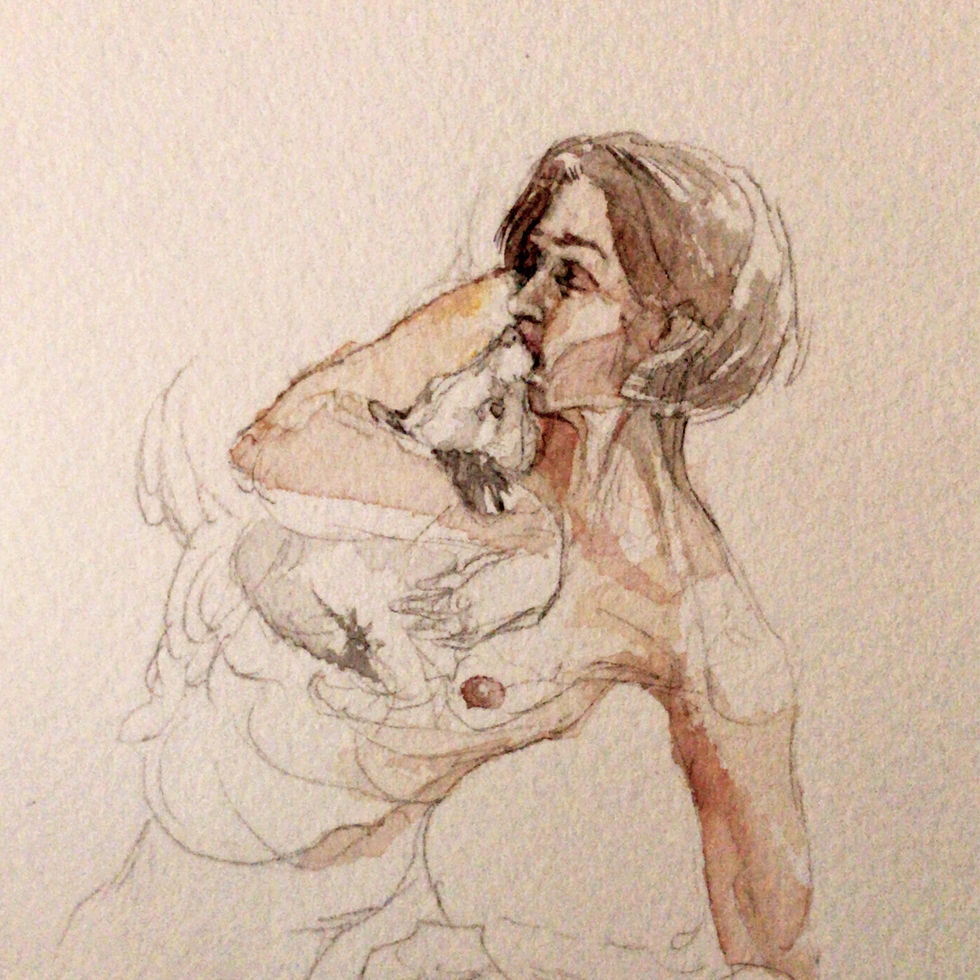 aquarela