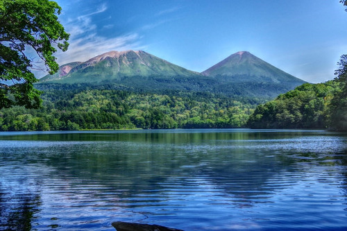 熊笹エキス】10g×2本 送料無料 | 株式会社北のささ