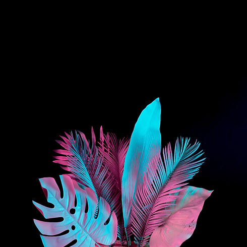AdobeStock_198013166.jpeg