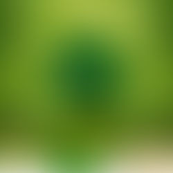 Resumo prático para enriquecer o solo e nutrir bem as plantas