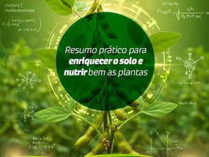 Resumo prático para enriquecer o solo e nutrir bem as plantas