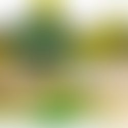 Quando usar adubação nitrogenada no milho?