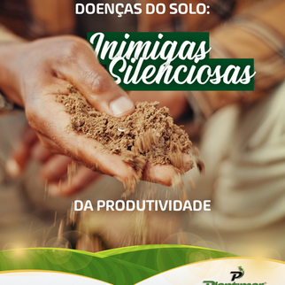 Doenças do solo: inimigas silenciosas da produtividade 