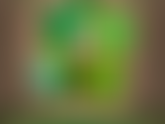 Cálcio e Boro: essenciais para a flor da soja