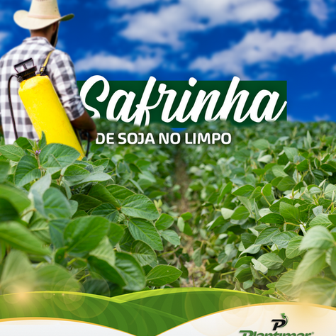 Safrinha de Soja no Limpo