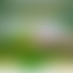 Fertilizantes Nitrogenados de eficiência aumentada