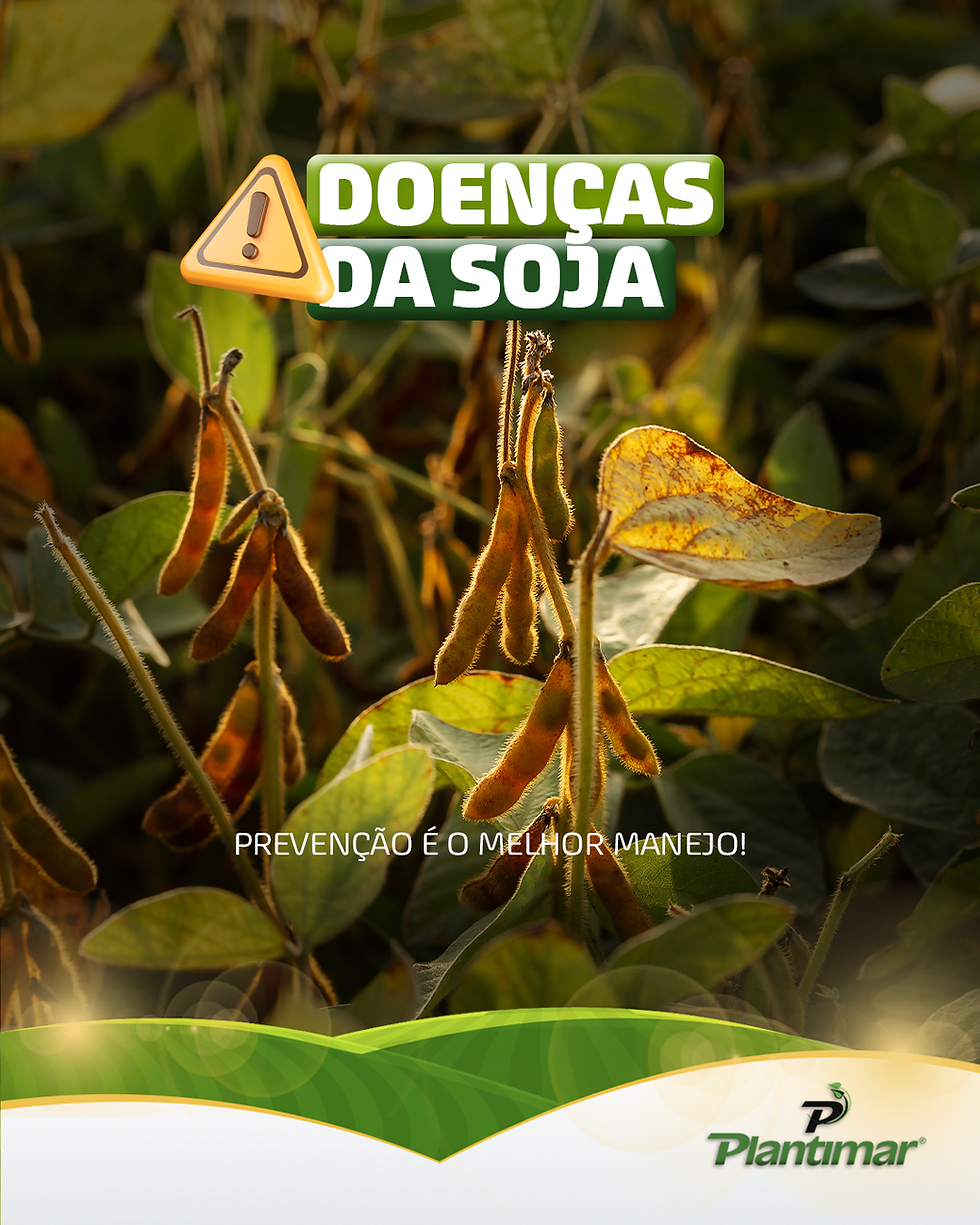 Doenças da Soja: prevenção é o melhor manejo! 
