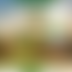 Efeito Priming na Soja: Uma estratégia inteligente para turbinar a emergência e aumentar a produtividade!