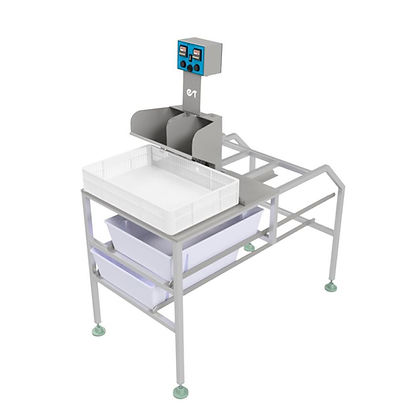 Contador de Pintainhos