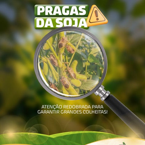 Pragas da Soja: atenção redobrada para garantir grandes colheitas!