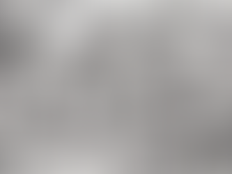 Quiet Voices, Strong Community: Quaker Pedagogy in Practice